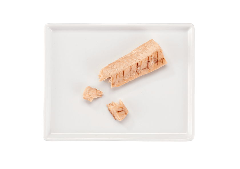 Tiki Cat - Filets - Salmon (For Cats)